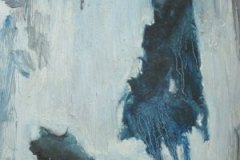 rain-shawl-and-dog_0