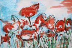 poppies_water_colour