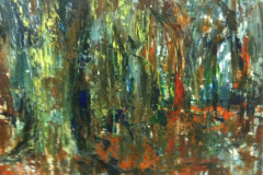 mysterious-forest
