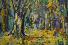 new-forest-scaled
