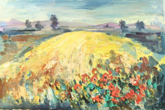 poppies-warwickshire
