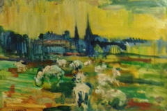 sheep-holyrood