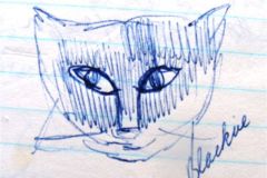 sketch-of-cats-face